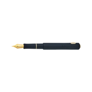 Esterbrook Niblet Raven / Gold FP EF, F, M, B, Stub 1.1, EF Flex, F Flex, BB